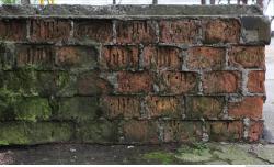 Photo Textures of Wall Bricks